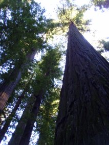 California