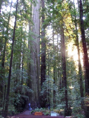 California